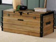 Simmons storage trunk