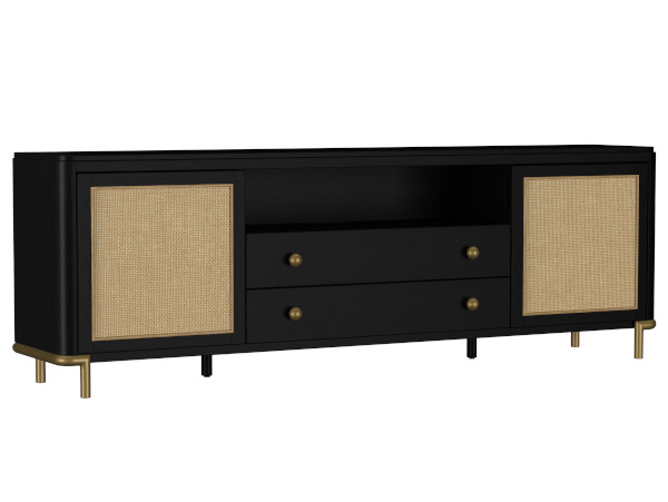 Experion black TV stand